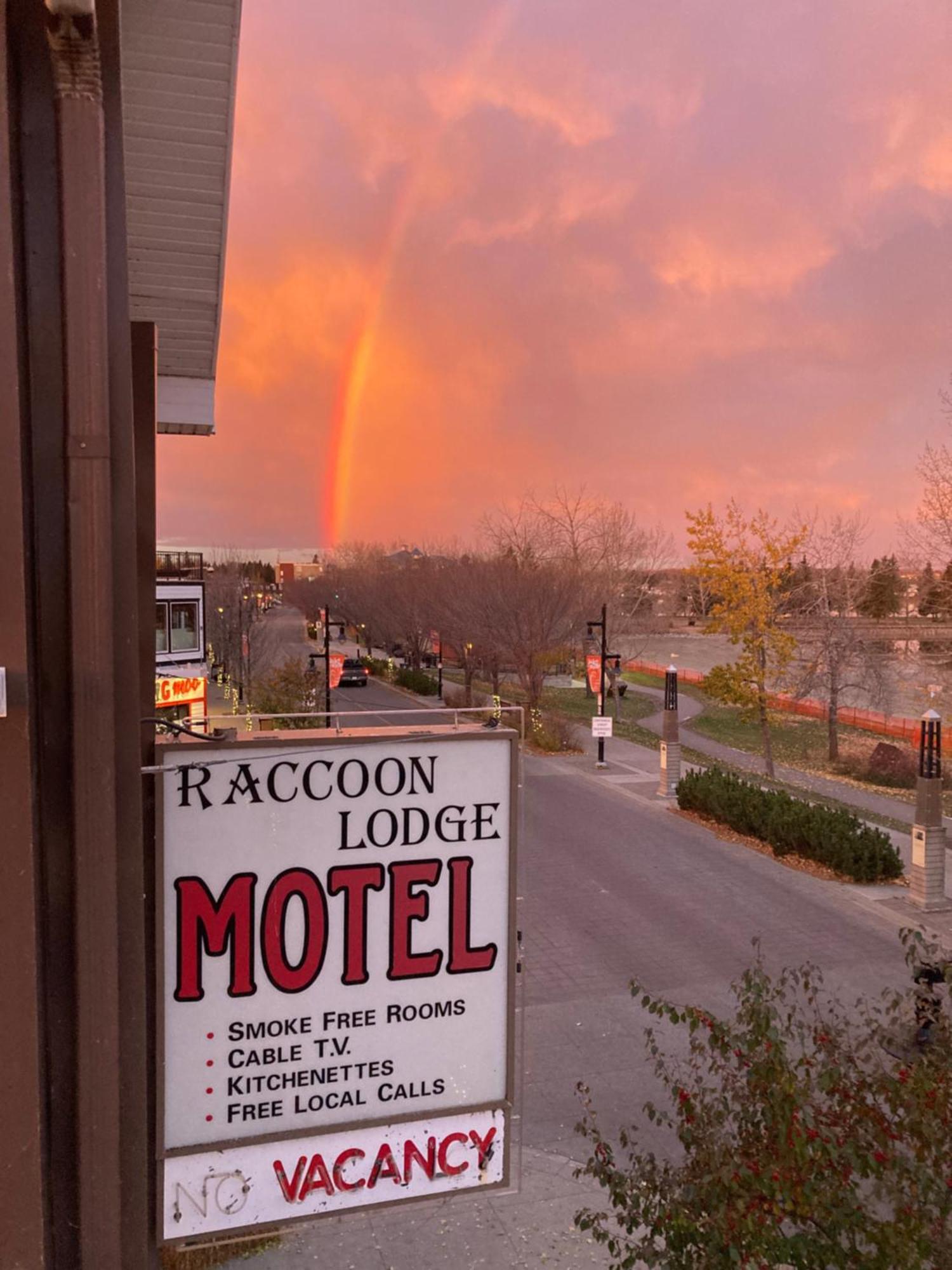 Raccoon Lodge Motel بحيرة سيلفان المظهر الخارجي الصورة